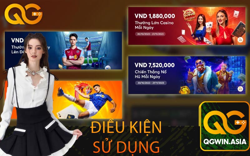 Điều kiện sử dụng